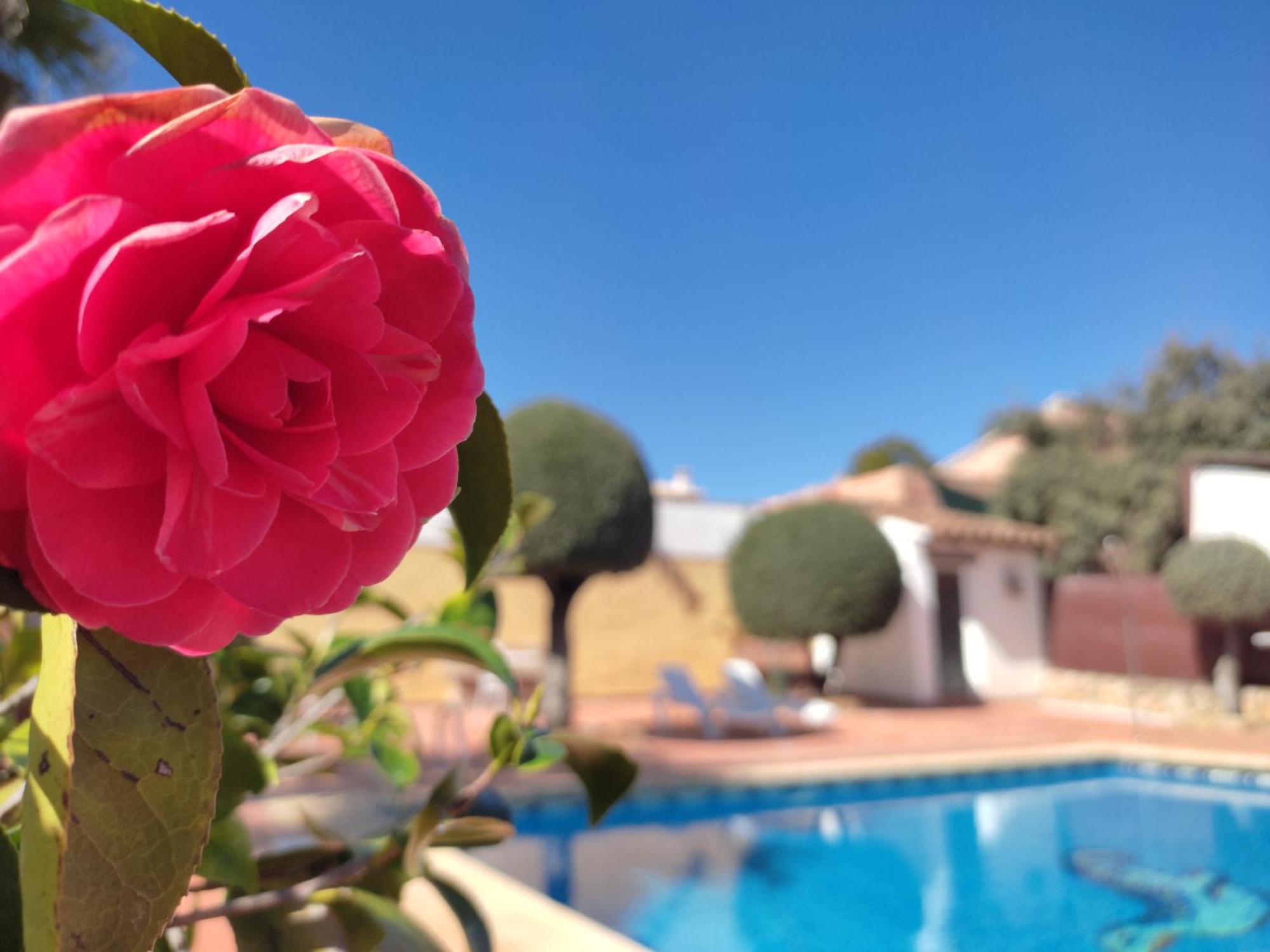 فيلا Casa Maleda فرنجلوش المظهر الخارجي الصورة